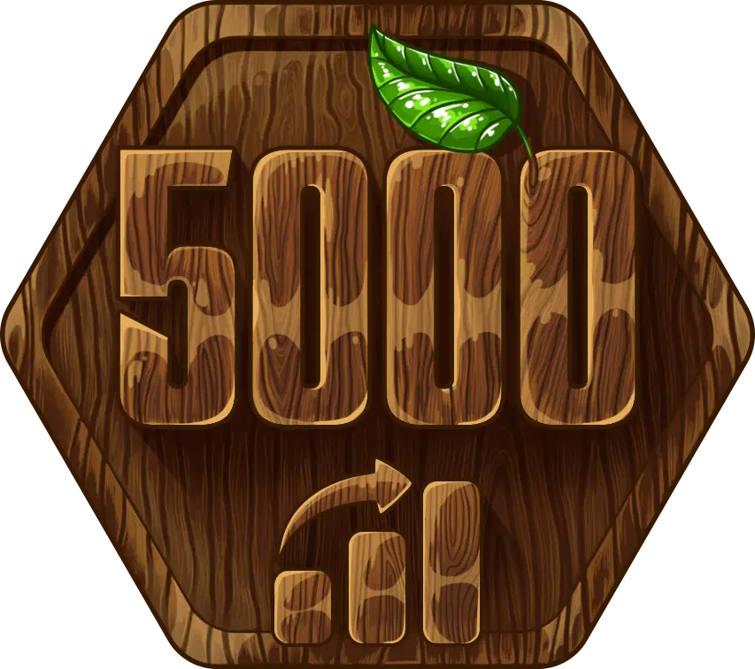 5000