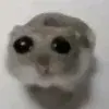 Nemandi