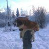 vmmikhaylovsky