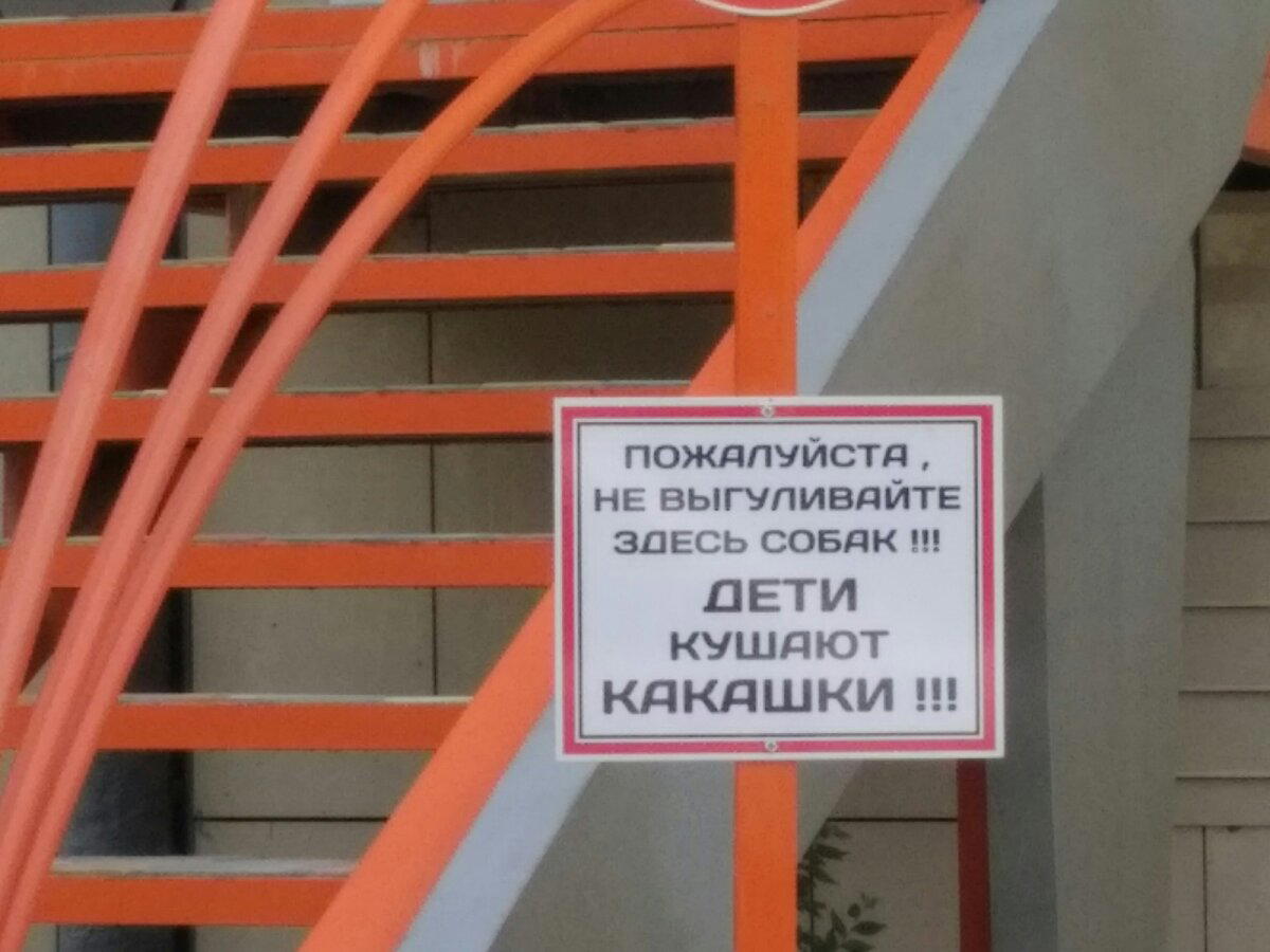Суровые дети