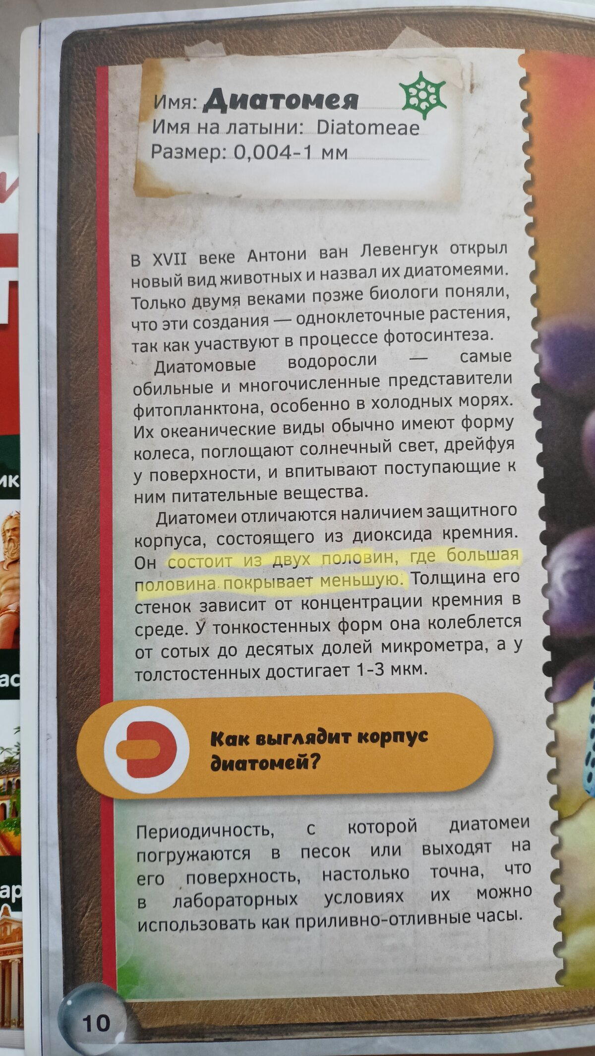 Большая половина, меньшая половина