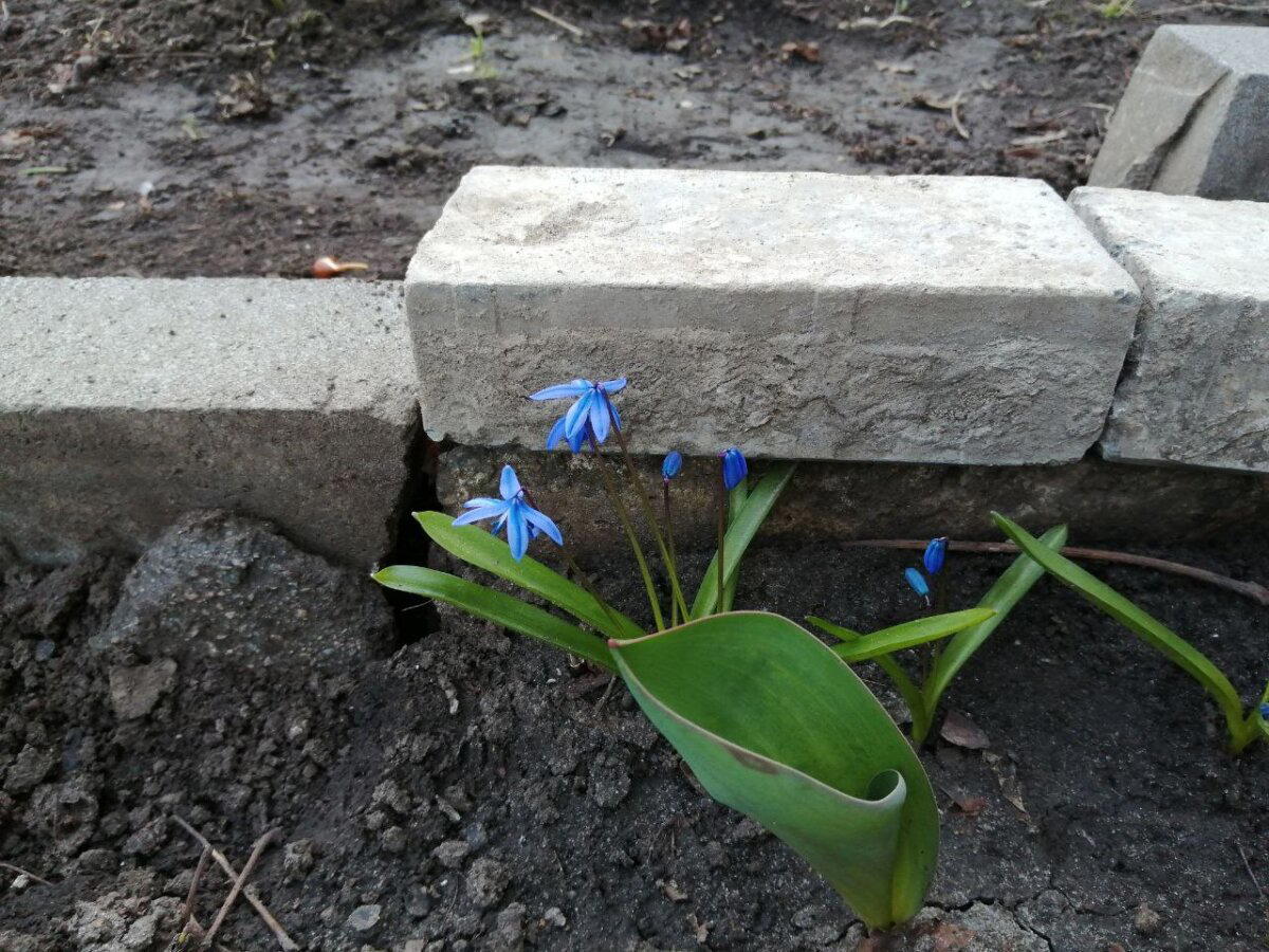 Весна в городе