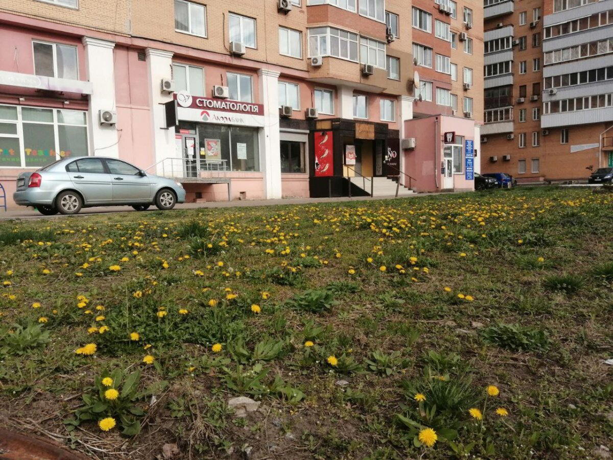 Весна в городе