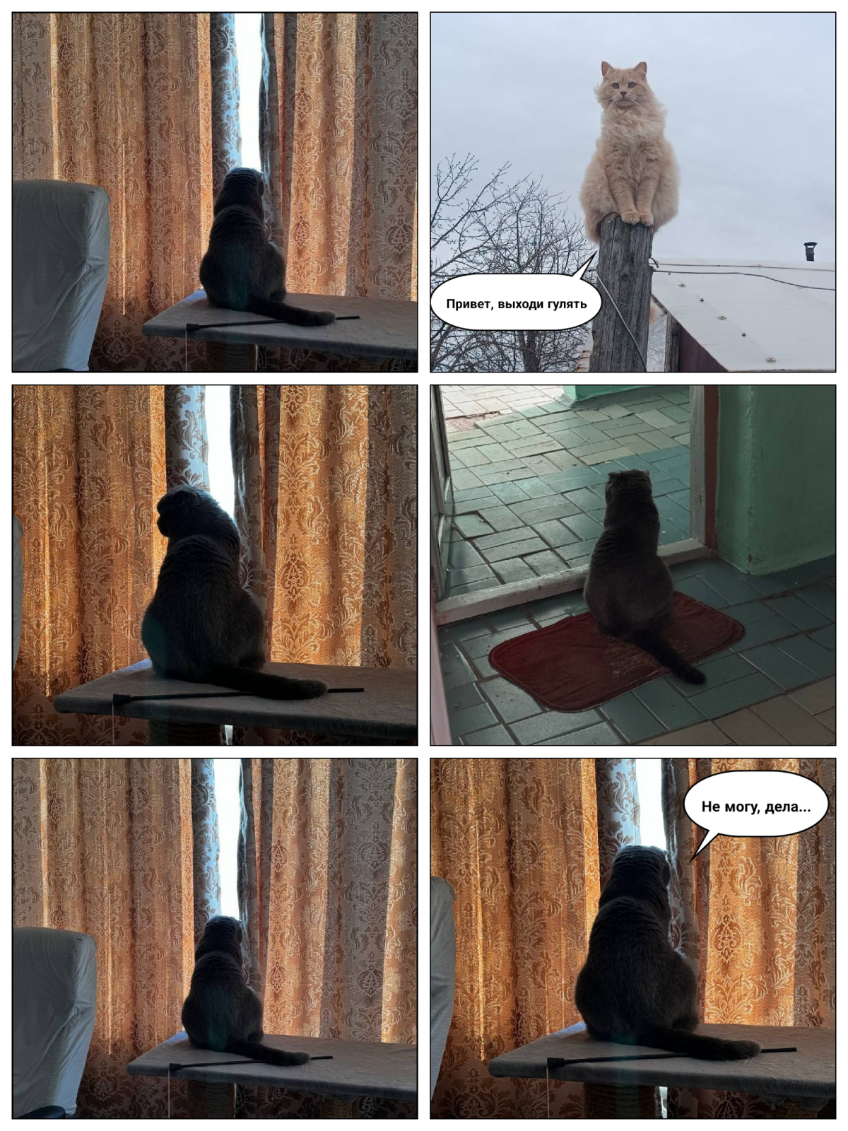 Домоседы