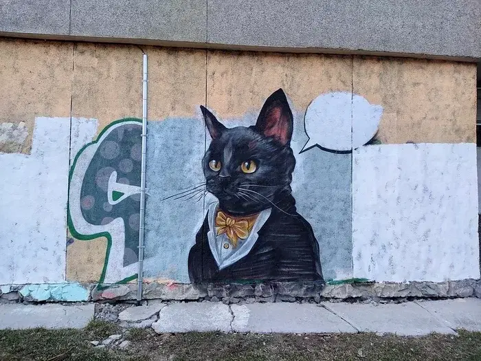 Котики рулят.