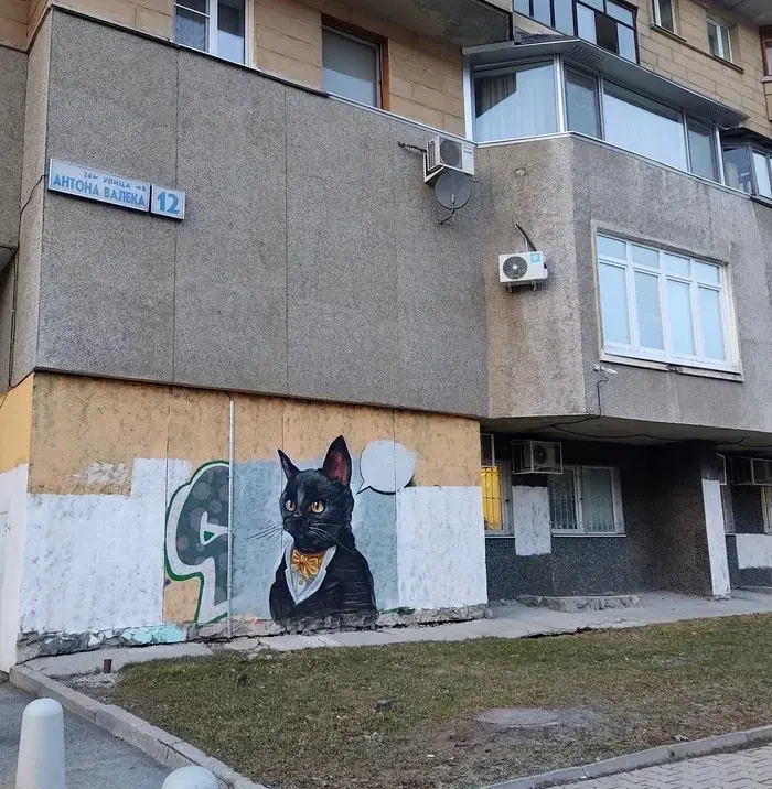 Котики рулят.