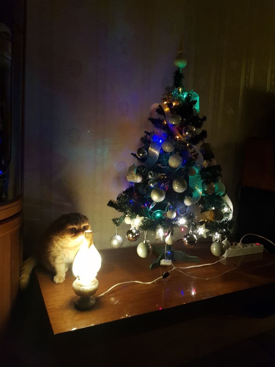 Мои версии котолампы