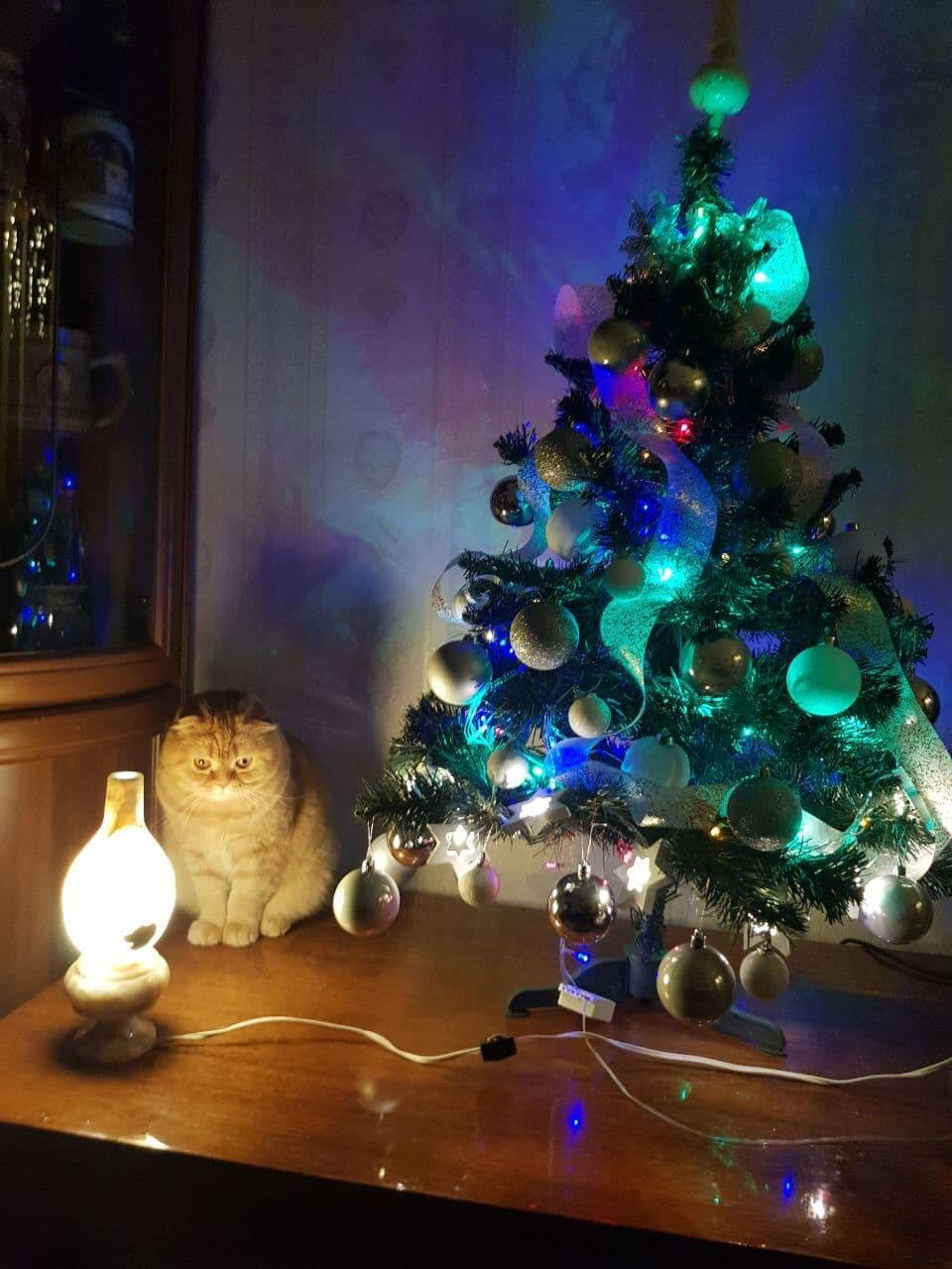 Мои версии котолампы