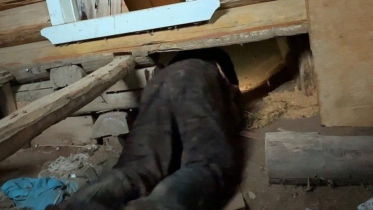Иногда под полами заброшек можно найти уникальные вещи