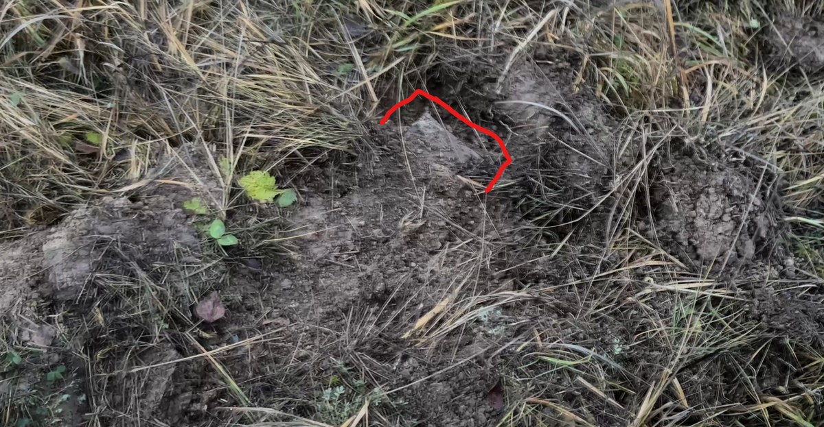 Трудно будет забрать эту находку со дна пересохшей речки, но я постараюсь