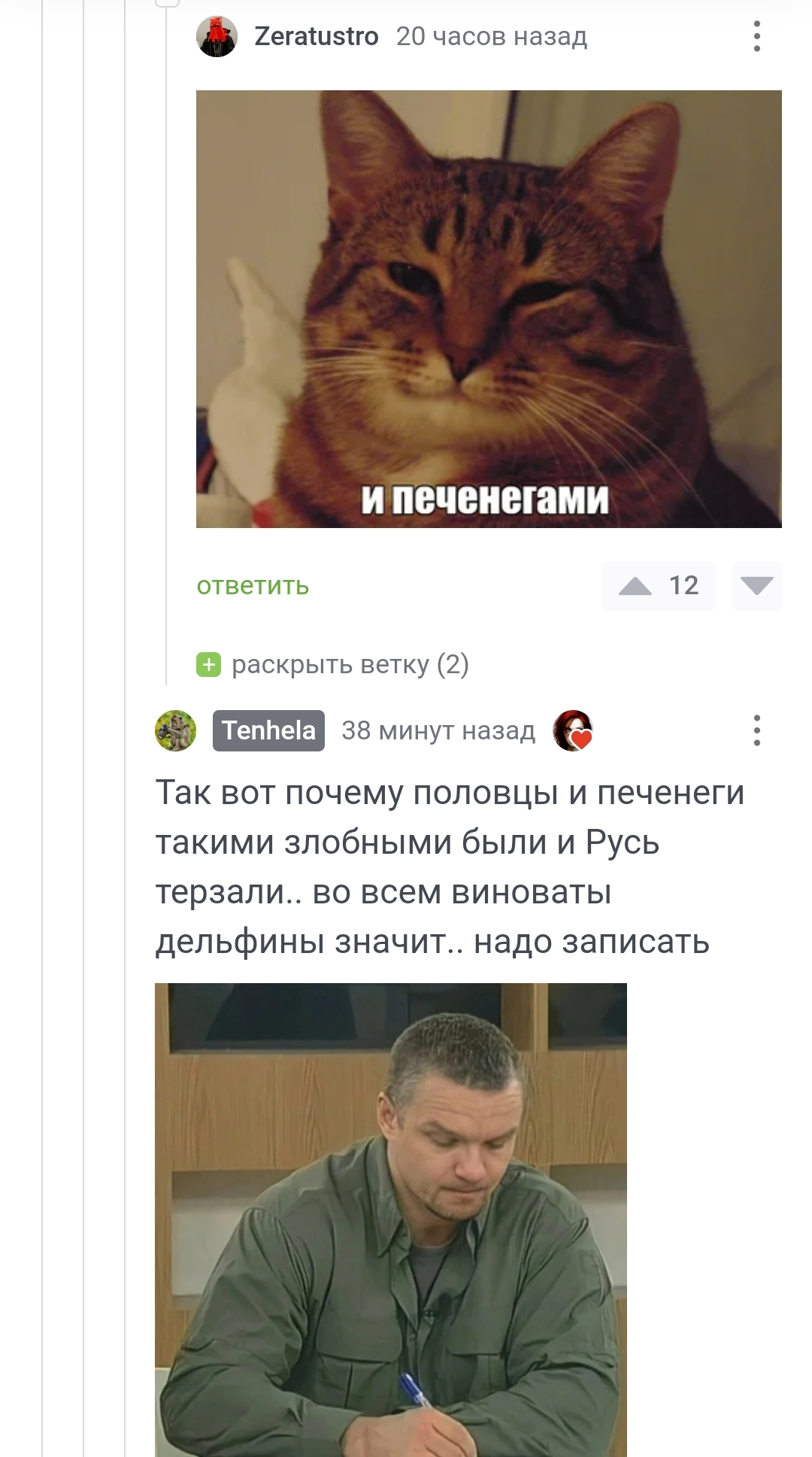 Во всем виноваты дельфины