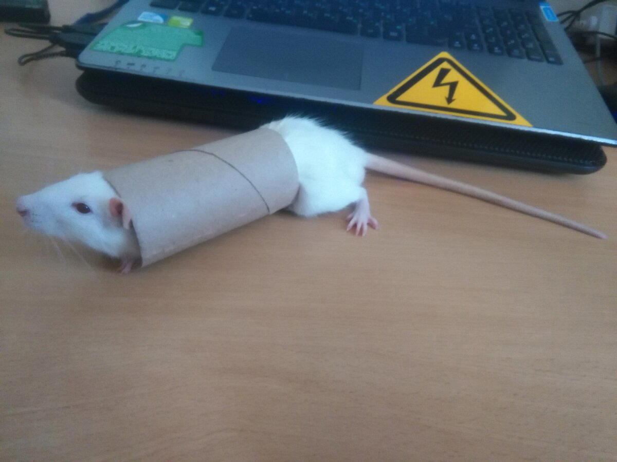Нашел самое удобное место