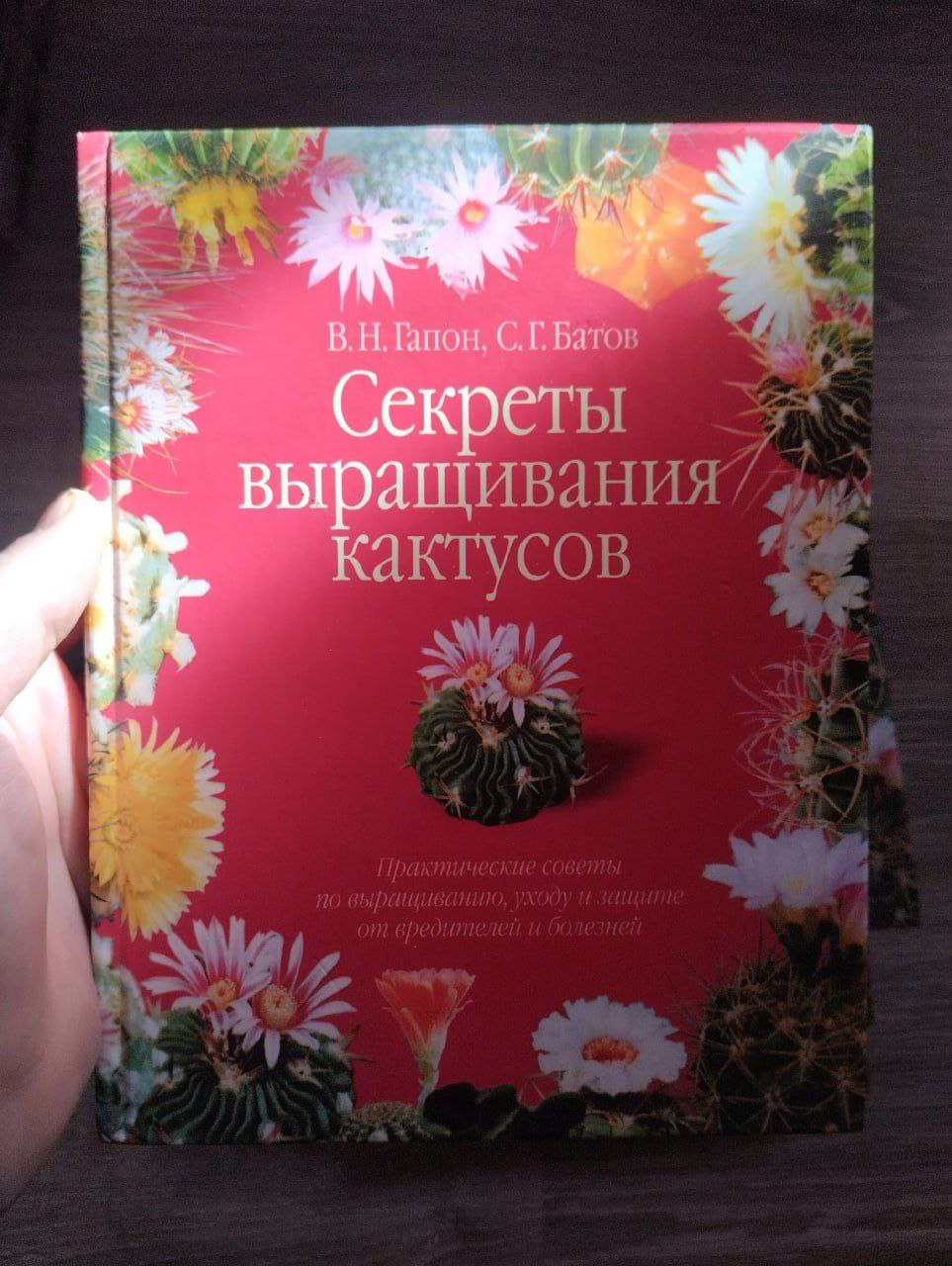 Заметки о кактусах