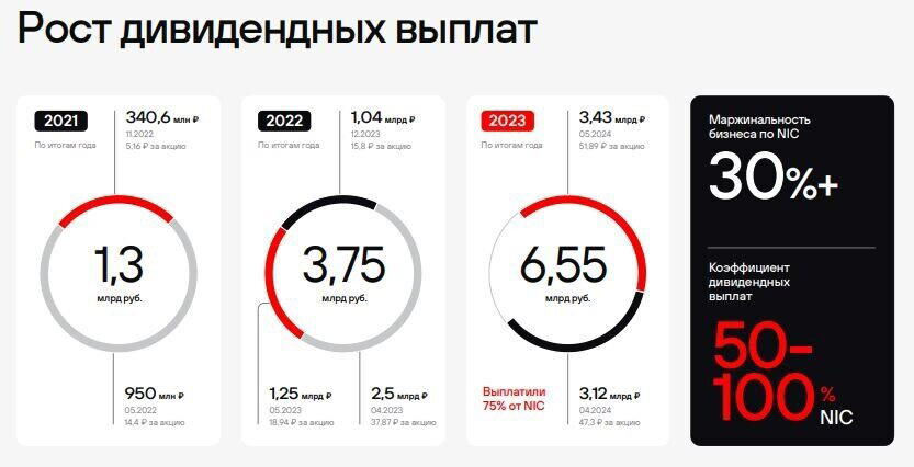 Источник: презентация компании по итогам 1 полугодия 2024 года