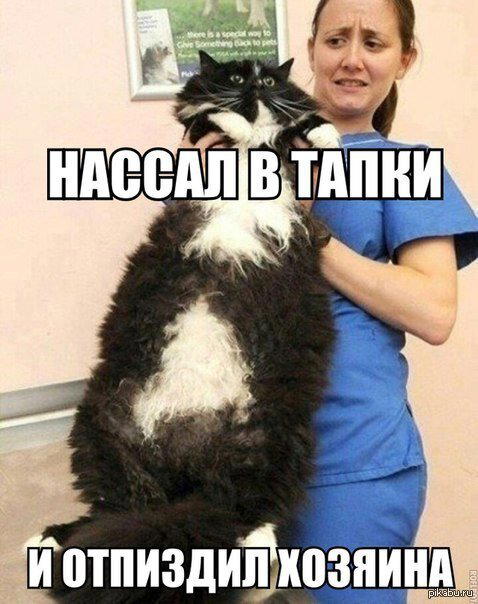 Честно, не мной придумано. Но улыбнуло :)