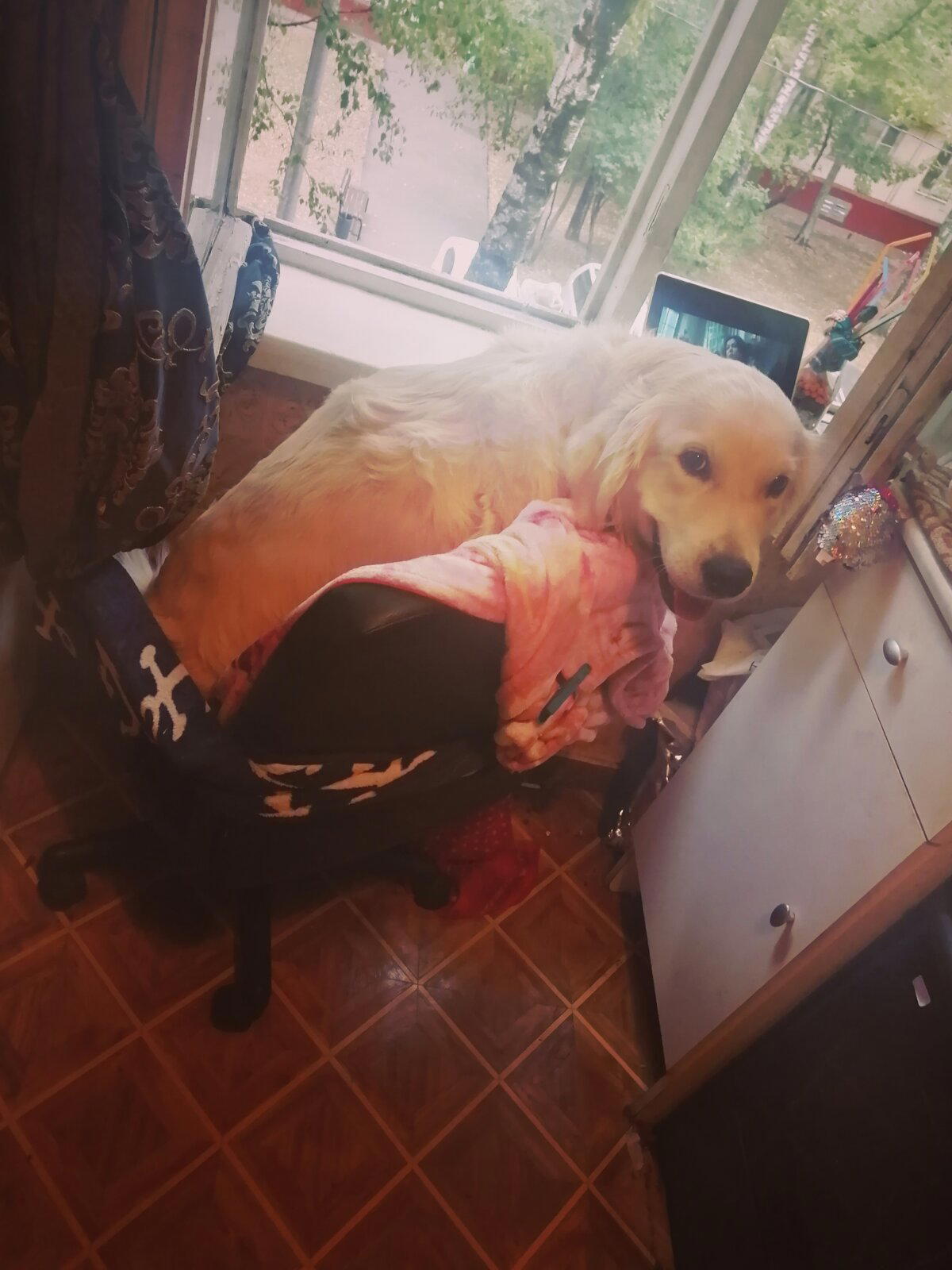 Мой Адик тоже поддерживает Бунд! Плюсанете?