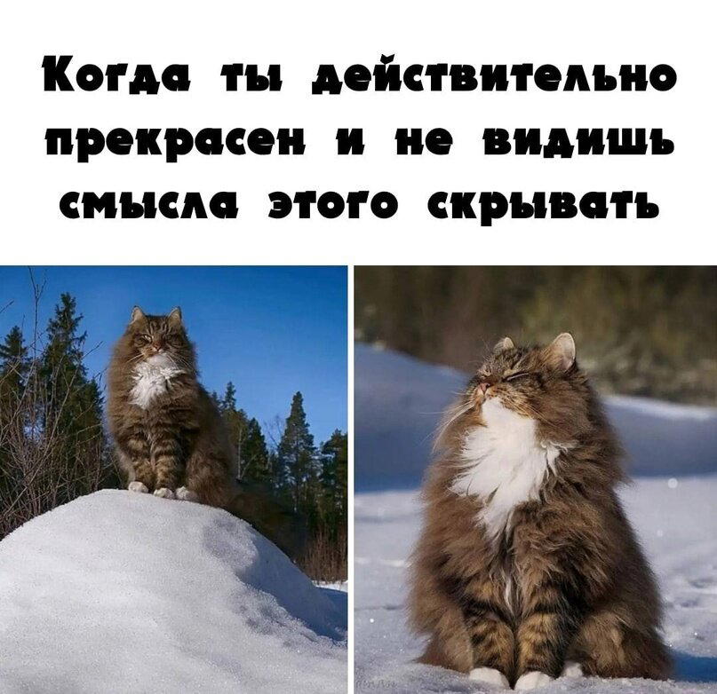 ХОБА!