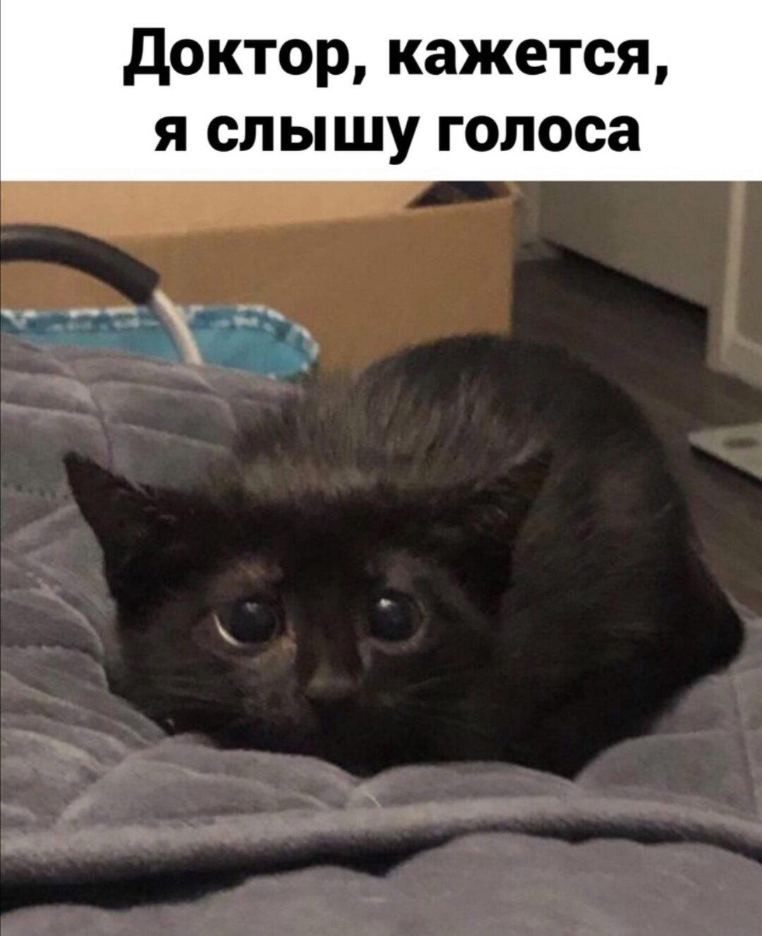 Галлюцинации