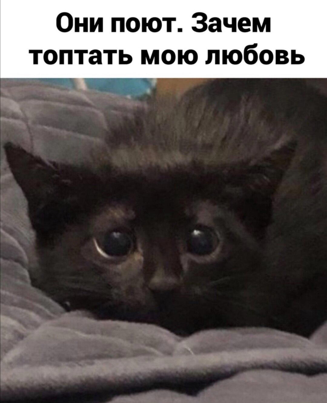 Галлюцинации