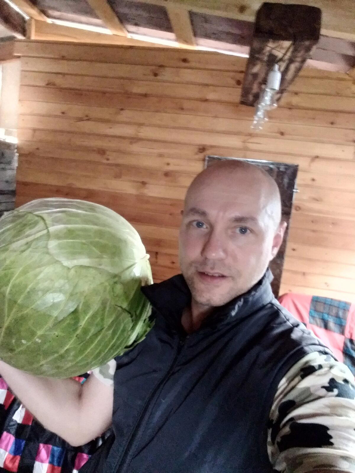 Капуста в этом году выросла гигантских размеров