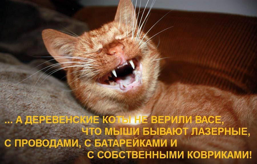 Вася просветил)))