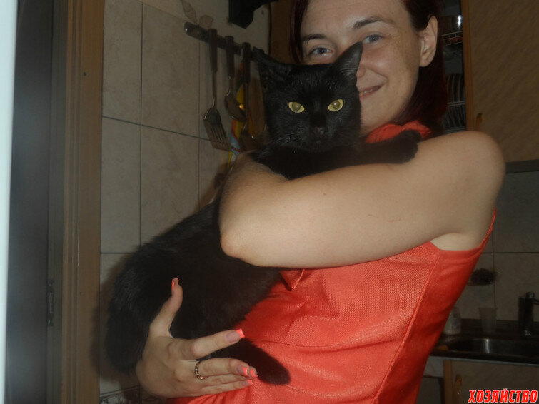 У кошек тоже есть ангелы