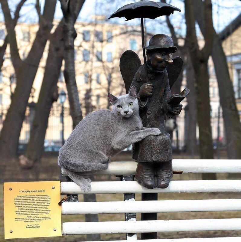 Котики, такие котики)))
