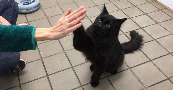 «Дай пятюню, друг!»