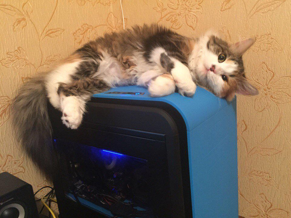 Правильно оформленное желание или мечта всегда исполняется)))