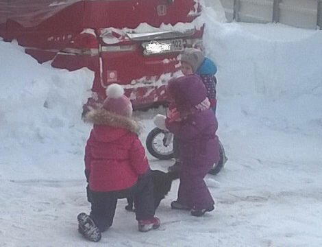 Гуталин - пушистый хранитель