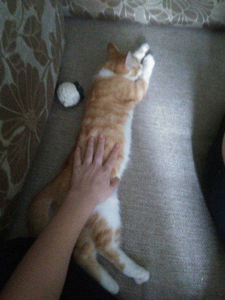 Чудо произошло!