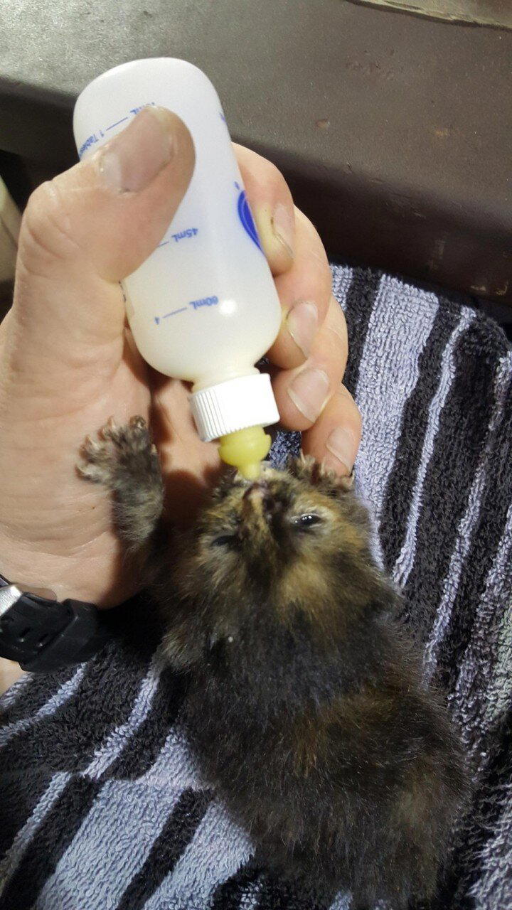 "Ничего себе деталька!"- удивился механик...