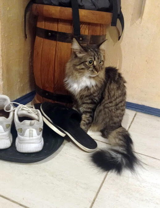 И за все труды меня ставили в угол!