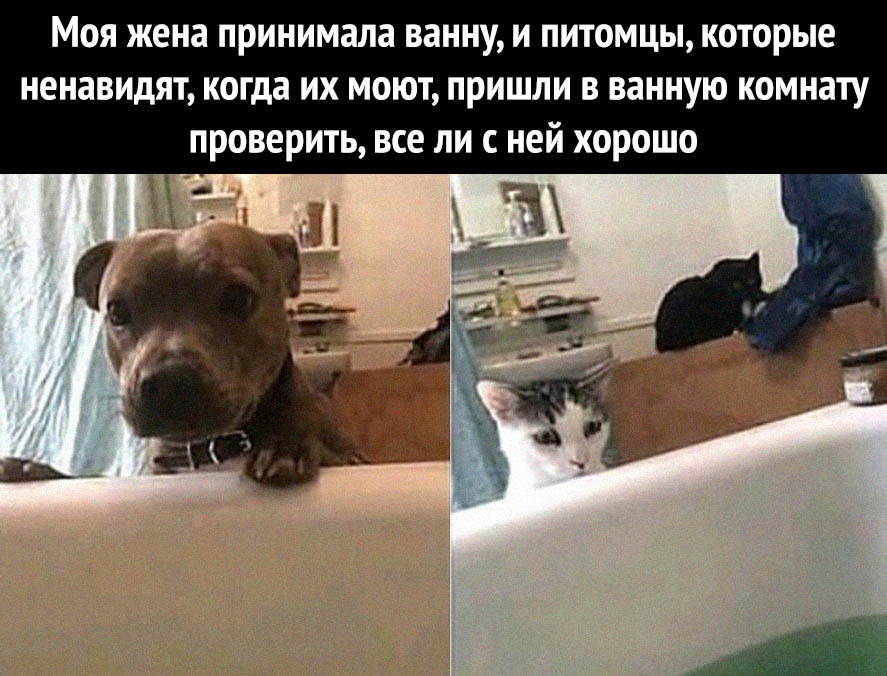 Боятся,но переживают