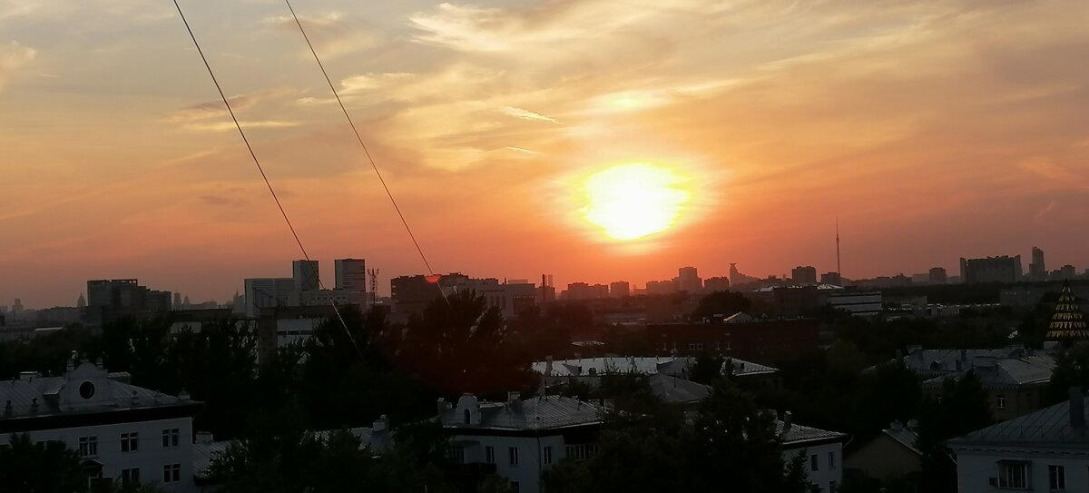 Закаты, рассветы, коты...