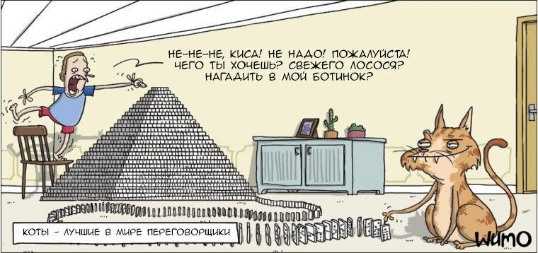 Коварный кот