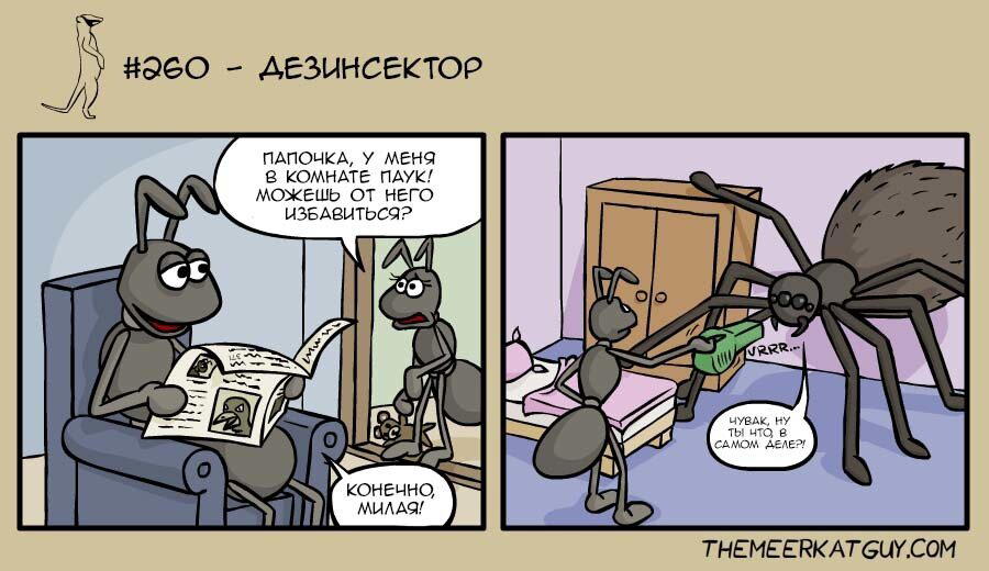 Дезинсектор