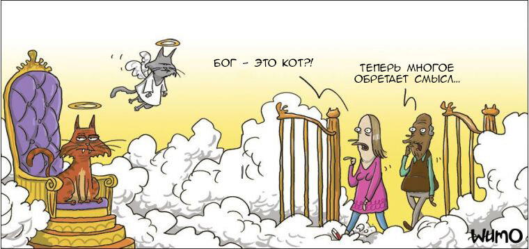 Так вот оно что