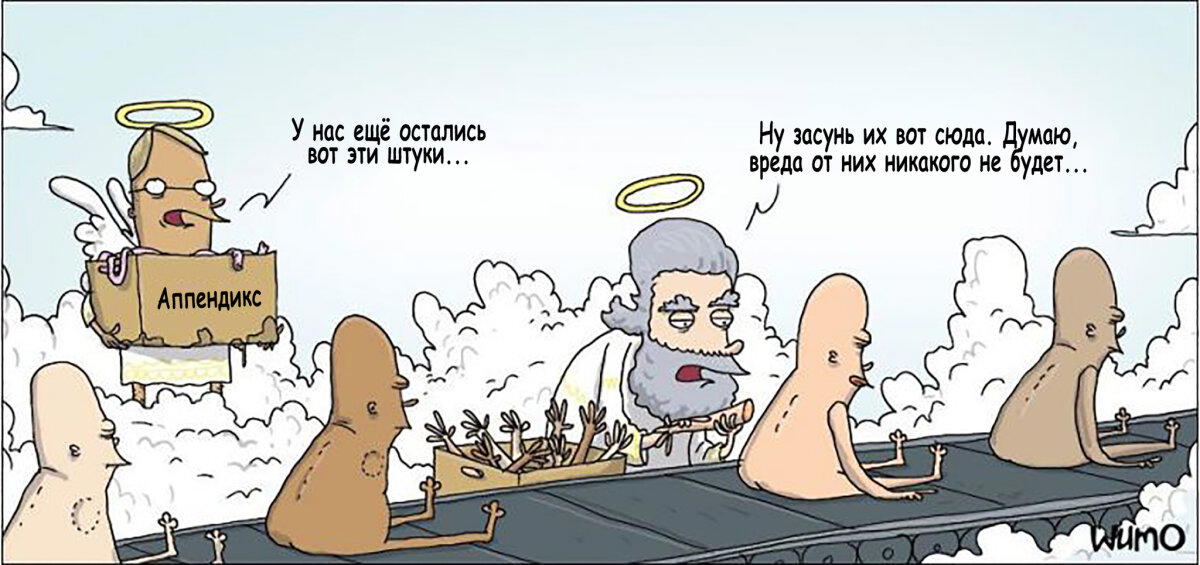 Аппендикс