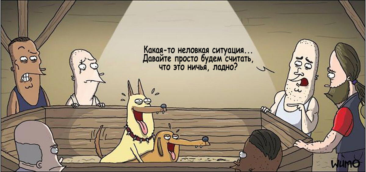 Собачьи бои