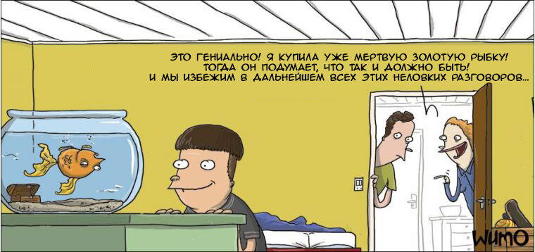 Золотая рыбка