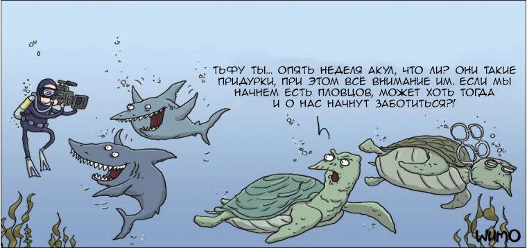 Акулы и черепахи