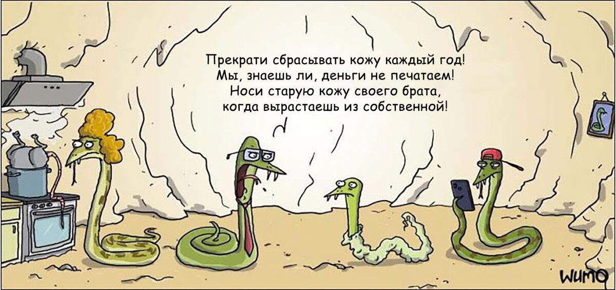 Старая кожа