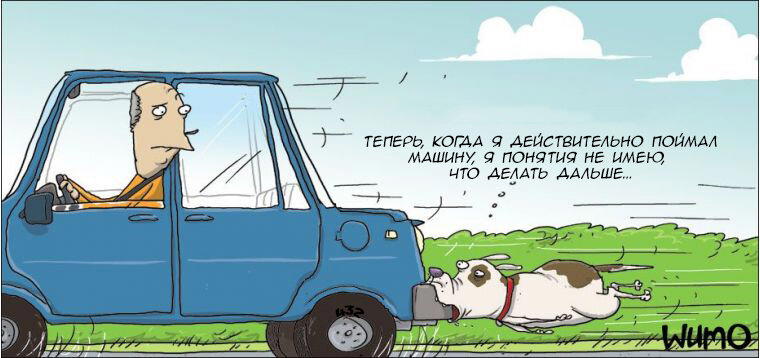 Ок, дальше что?
