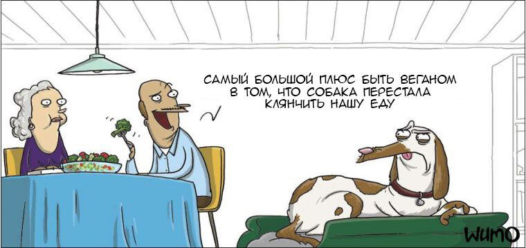 Плюс вегетарианства