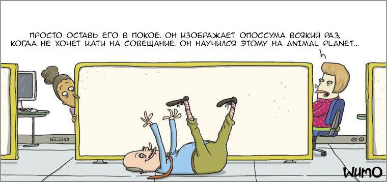 Офисный опоссум