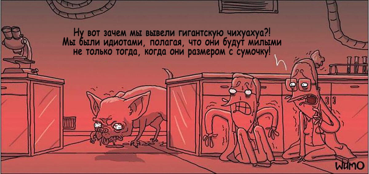 Кошмарный кошмар