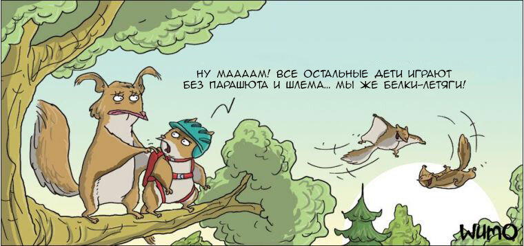 Безопасность превыше всего