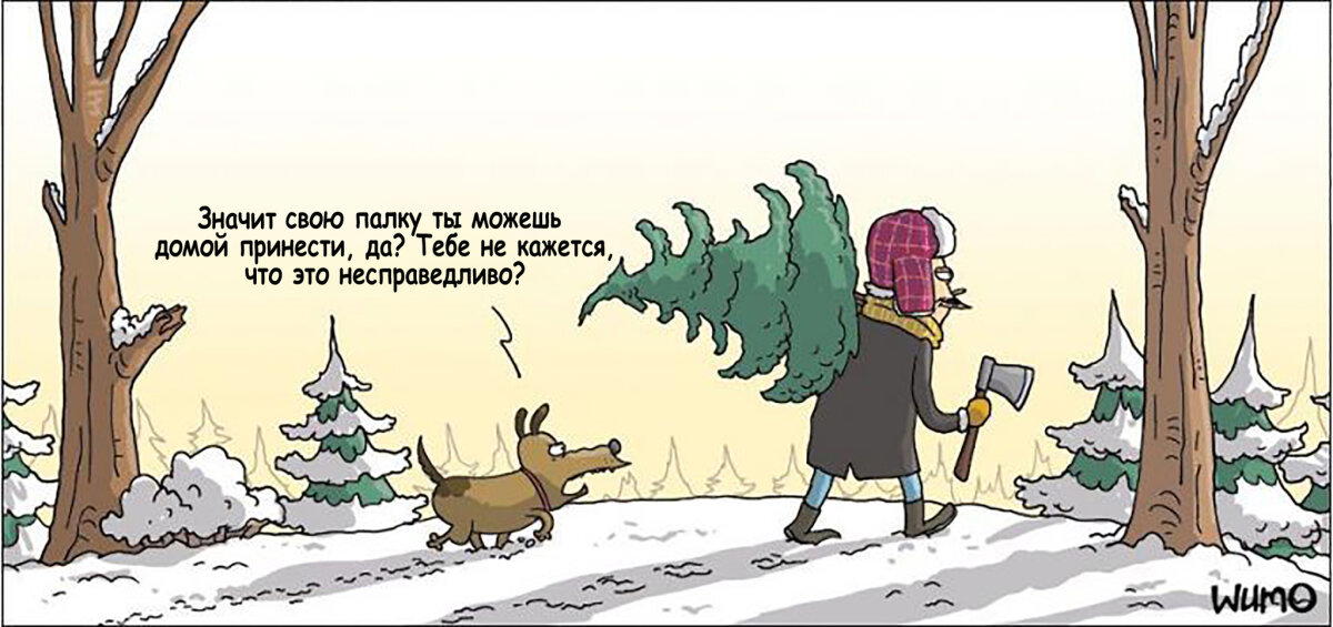 Палка домой