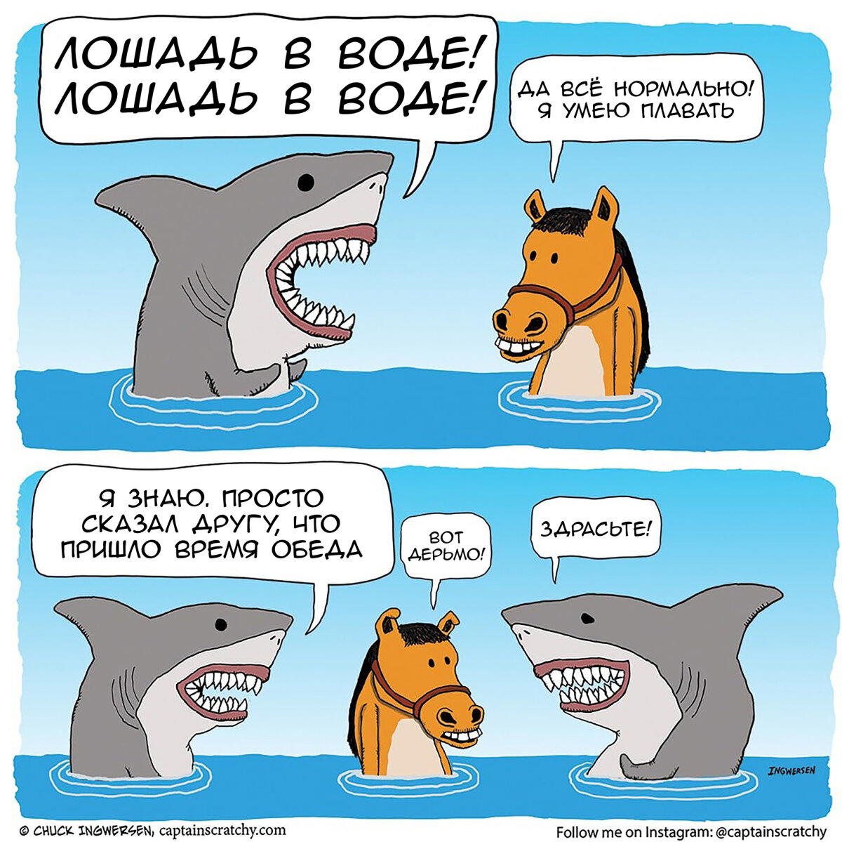 Лошадь в воде